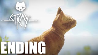 Stray Gameplay Walkthrough Part 11 | Control Room | ENDING | FULL GAME | PC