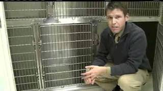 Police: 2 Kids Kept In Kennel