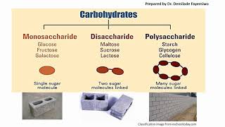 Chapter 2.1: Biological Molecules - Carbohydrates