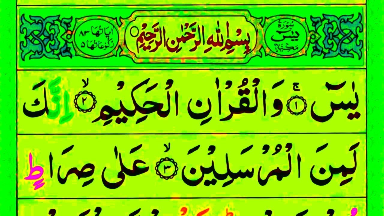 SURAH YASEEN , SURAH RAHMAN , SURAH MUZAMMIL . LEARN QURAN RECITATION ONLINE, #quran