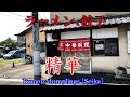 【群馬県桐生市】ラーメン,餃子「精華」Ramen, dumplings and shichimi at a Showa food shop