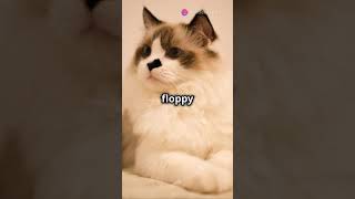 Purr-fect Companions: Top 10 Adorable Cats