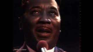 Muddy Waters - live [Colourised] 1968