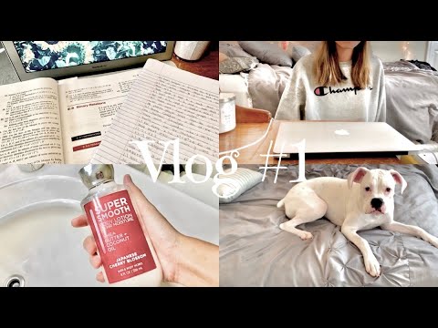 [VLOG] アメリカの大学生の日常\おうちでまったり\オンライン授業\Online college life (eng)