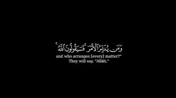 كرومة شاشة سوداء بصوت الشيخ #أحمد_حمادي#سورة_يونس