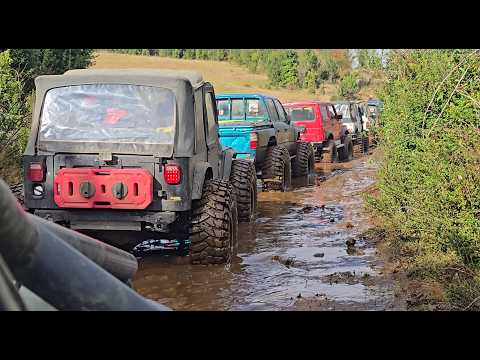 RUTA 4X4 PARQUE HUEIMEN-CHILE 2026. 4runner, Hilux, Jeep Rubicon