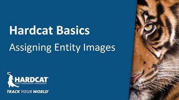 Hardcat Basics - Assigning Images to Entities