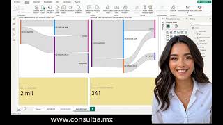 Mapa de flujos en Power BI con Sankey Chart