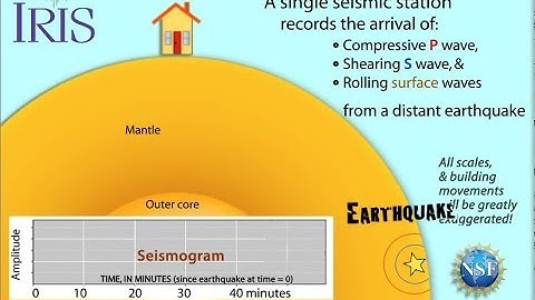 Earthquake Sends Seismic Waves to one station (educational