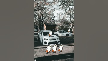 “Can You Find All 8 Ducks? 👀🦆 | Only 1% Can Spot Them All!”#YouTubeShorts#ShortsChallenge#FunShorts