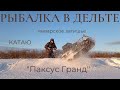 Собака которая реально везет.  Рыбалка в протоках.