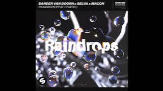 Sander van Doorn x Selva x Macon Feat. Chacel - Raindrops