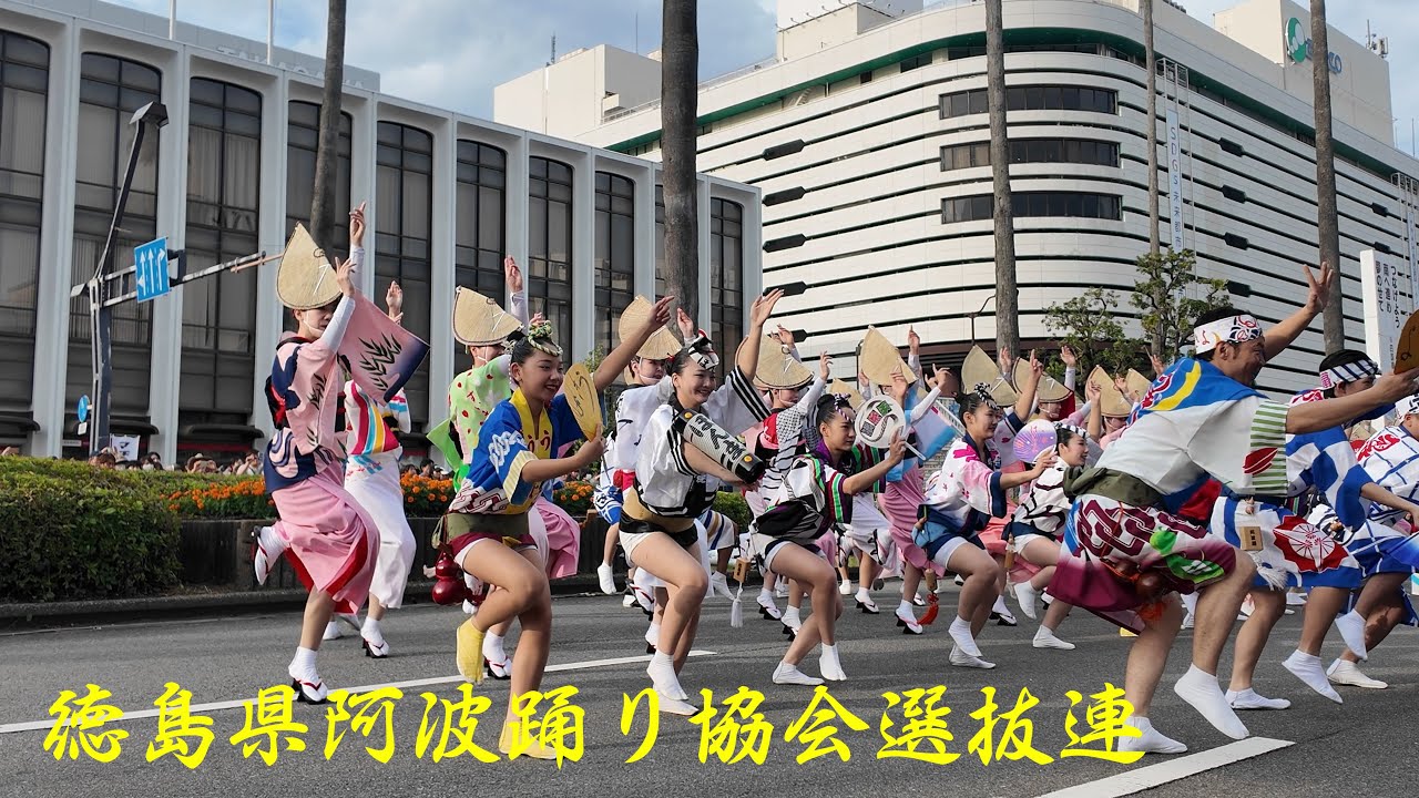 徳島県阿波踊り協会選抜連」(広角版） ～徳島おどりフェスタ2025