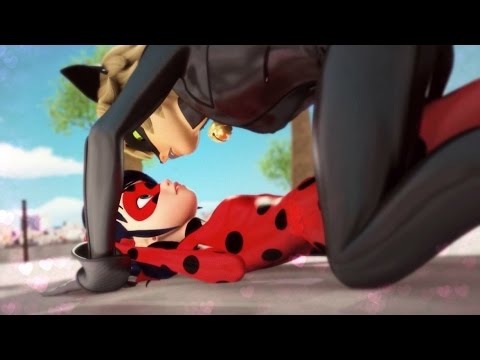 Love Warning Ladybug Chat Noir Marinette Adrien