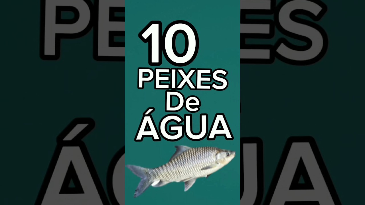 10 PEIXES DE ÁGUA SALGADA DO BRASIL, EAI ,QUAL DELES VC JA PESCOU??🤔😃