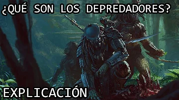 ¿Cómo se dice depredador?