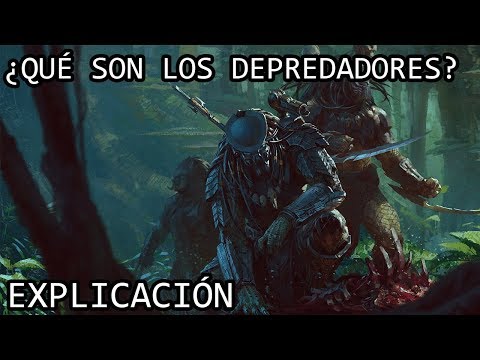 Video: ¿Existe tal palabra como depredador?