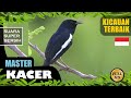 Suara Kicauan Burung Kacer Terbaik Part Masteran Kacer Kacer Gacor Pancingan Kacer Mp3 - Mp4 Download
