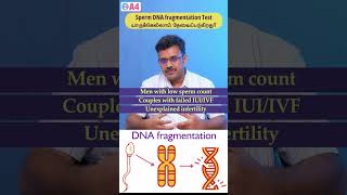 Who is Sperm DNA Fragmentation Test Important for?|DNA Fragmentation Test| Dr. Arun|A4 Fertility