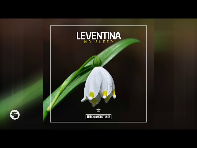 Leventina - No Sleep