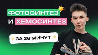 картинка: Фотосинтез и хемосинтез (короткометражка). Тест-Драйв, занятие №2