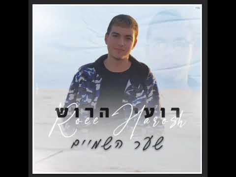 רועי הרוש שער השמיים 