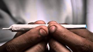 Yung Hayze- Rolld Up Roll Up Freeswag