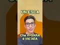 Questa ESCA in gara è VIETATA❌