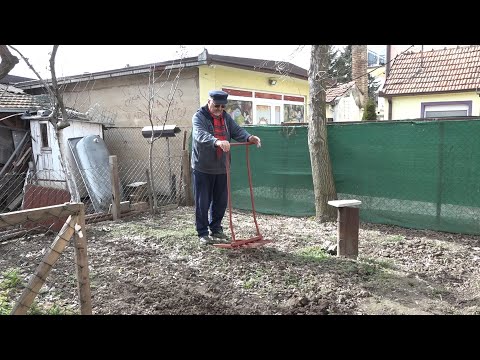 Video: Krtica pečenje