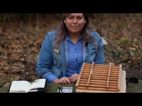 Vídeo: Botanista vs. Horticultor - O que é um botânico e por que a ciência das plantas é importante