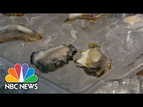 New York Oysterman On A Mission To Restore Tradition