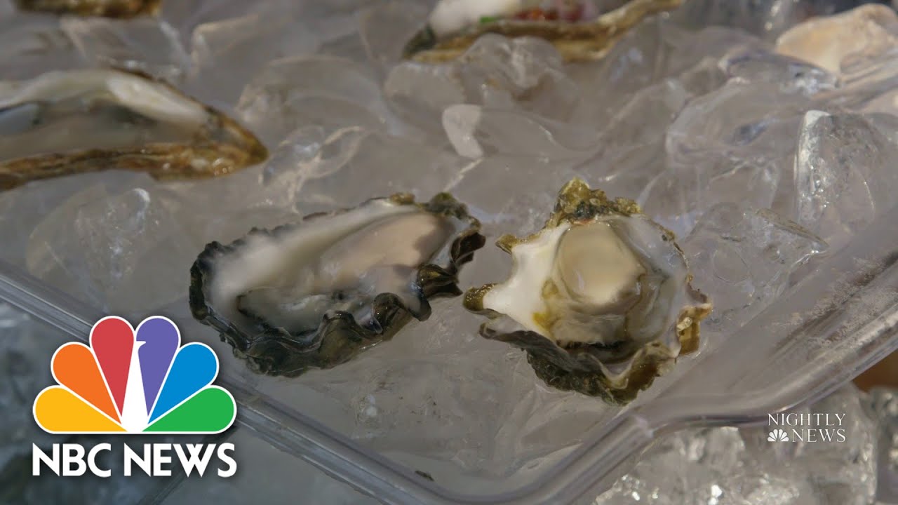 New York Oysterman On A Mission To Restore Tradition