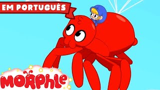 Minha Aranha de Estimação! | Morphle em Português | Desenhos Animados para Crianças em Português
