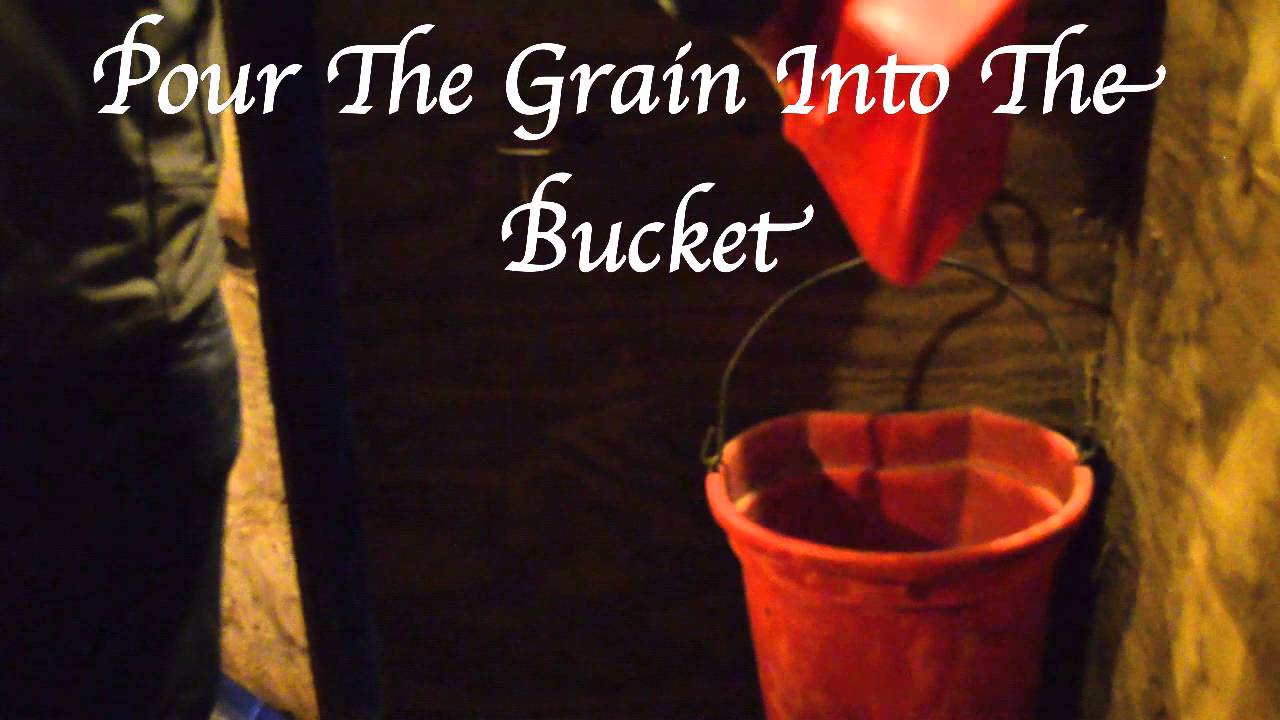 How to Feed a Horse Grain With sound YouTube