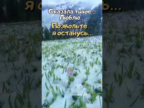 Доброе утро! ( музыкальная открытка) 8 февраля.