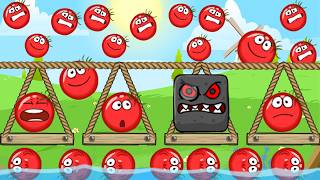 1000 Tomato Balls in Red Ball 4 Level 1 to Level 15 Boss fight screenshot 5