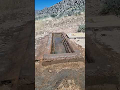 آب رسانی و نظافت مداوم آبشخور ها امری مهم و حیاتی حیاتیست Wildlife Animaldance Hyena Animals 