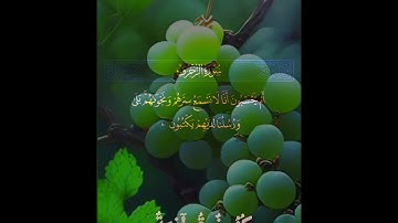 سورة الزخرف من الآية 76 الى الآية 89 .