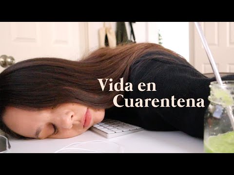 Vida en Cuarentena I Diciembre Vlog