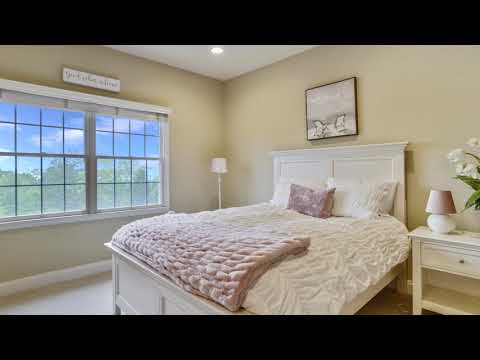 19767 Willowdale Place., Ashburn, VA home video tour