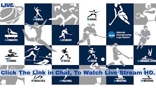 Penn College vs Pitt.-Greensburg | NCAA Men's Soccer 9/2/2025
