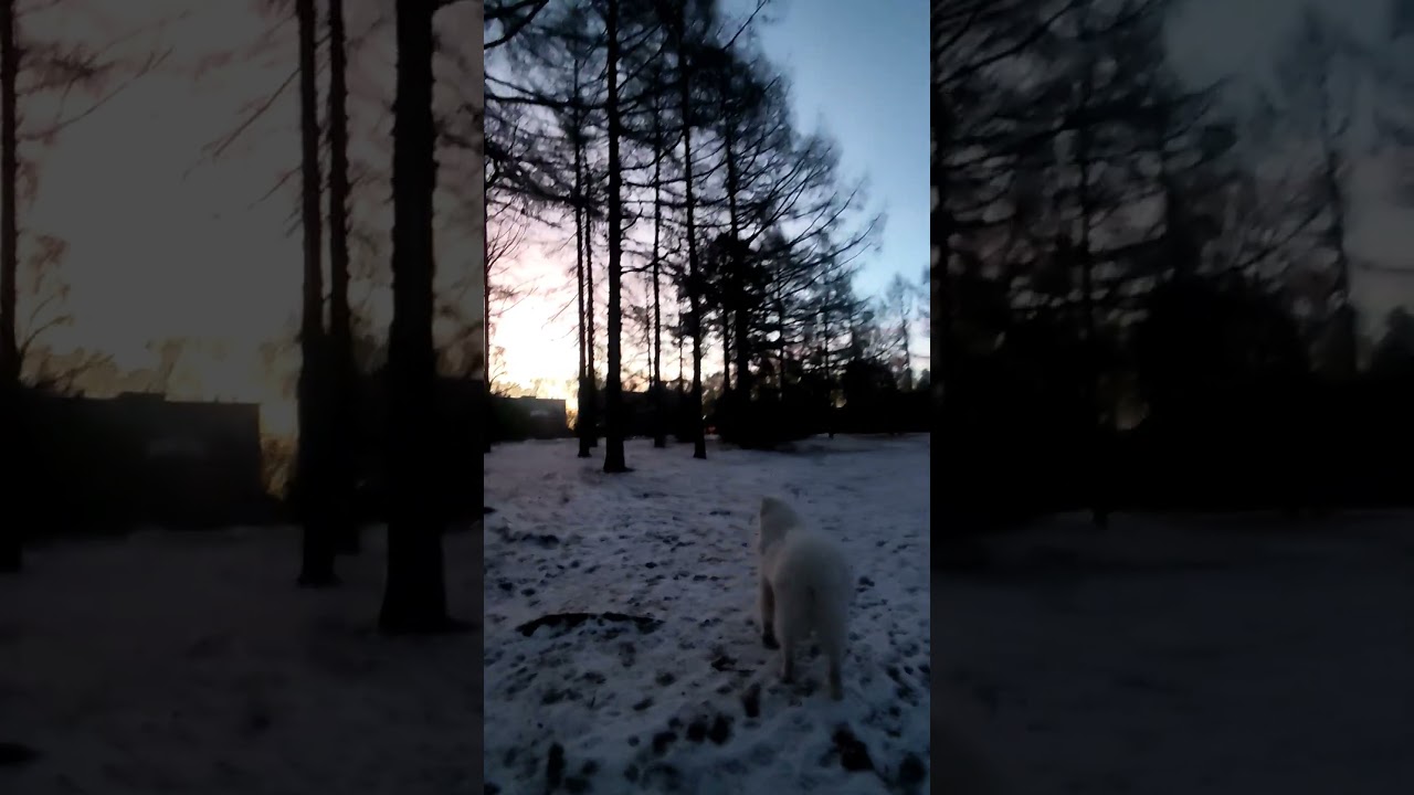 на чужих! 🧐