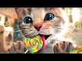 My Favorite Cat Little Kitten Preschool -  Play Fun Cute Kitten Care Games For Kids Children Toddler