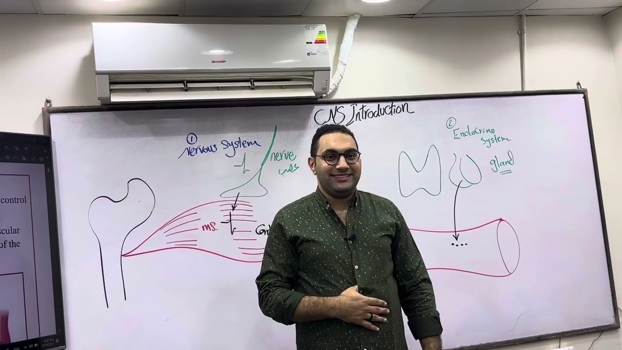 CNS physiology - 1 دكتور الشريف للدفعة ١٩٦ طب قصر العيني
