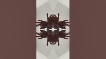 Maybe perfect loop don’t click this sound 💀☠️ #rap #music #Shorts #freestylerapper ￼