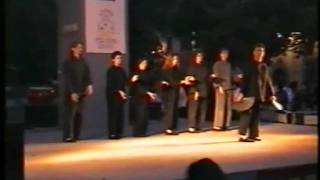 Stillpointer 2001 Tai Chi Chuan - Group And Fan