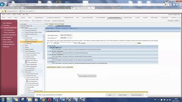 SAP Portal customization tips and hints