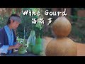 Wine gourd a vessel for holding wine in ancient times which is still in use today