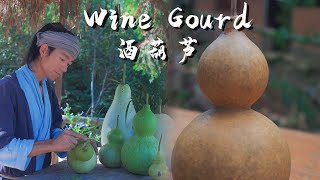 Wine Gourd: a Vessel for Holding Wine in Ancient Times, Which is Still in Use Today