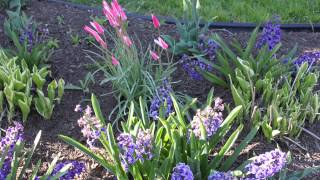 Easter Slideshow